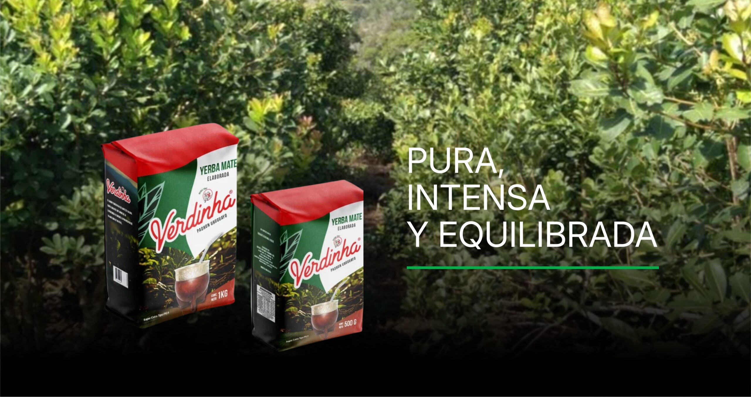 VERDINHA - YERBA MATE